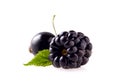 Blackberry with leaf and black currant on White Background Royalty Free Stock Photo