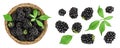 blackberry with leaf in in a wicker basket isolated on a white background. Top view. Flat lay Royalty Free Stock Photo