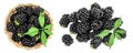 blackberry with leaf in in a wicker basket isolated on a white background. Top view. Flat lay Royalty Free Stock Photo