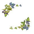 Blackberry leaves wreath in a watercolor style.