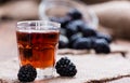 Blackberry Liqueur shot Royalty Free Stock Photo