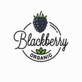Blackberry logo. Round linear logo of organic