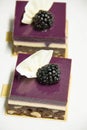 Blackberry mini cake with chocolate brownie