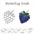 Blackberry. A page of a coloring book with a colorful fruit and a sketch for coloring.