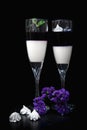 Blackberry panna cotta in glasses on a black background