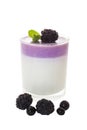 Blackberry Panna cotta image with clipping path