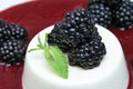 Blackberry pie Royalty Free Stock Photo