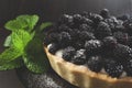 Blackberry pie Royalty Free Stock Photo