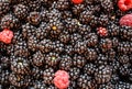 Blackberry and raspberry fruit background