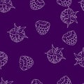 Blackberry  and raspberry isolated on purple background. Vector white silhouette drawing. Handwork. Seamless pattern Royalty Free Stock Photo