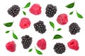 Blackberry and raspberry with leaves isolated on white background. Top view. Flat lay pattern Royalty Free Stock Photo