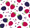 Blackberry and Raspberry Seamless Pattern.