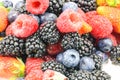 Blackberry Raspberry Strawberry Blueberry Fruit Mix Royalty Free Stock Photo