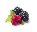 Blackberry with raspberry
