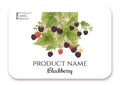 Blackberry. Ripe berries on branch. Template for product label,