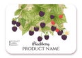 Blackberry. Ripe berries on branch. Template for product label,