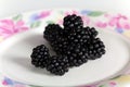 Blackberry ,Rubus fruticosus,close up
