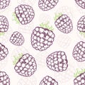 Blackberry seamless background