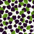 Blackberry seamless pattern