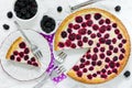 Blackberry sour cream pie tart