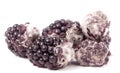 Blackberry tainted with mold isolated on white background Royalty Free Stock Photo