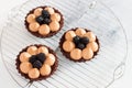 Blackberry tarts with whipped cream and chocolate filling on metal cooling rack. Grey background