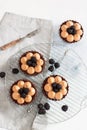 Blackberry tarts with whipped cream and chocolate filling on metal cooling rack. Grey background