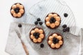 Blackberry tarts with whipped cream and chocolate filling on metal cooling rack. Grey background