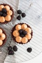 Blackberry tarts with whipped cream and chocolate filling on metal cooling rack. Grey background