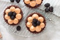 Blackberry tarts with whipped cream and chocolate filling on metal cooling rack. Grey background