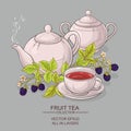 Blackberry tea vector illustration