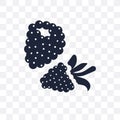 Blackberry transparent icon. Blackberry symbol design from Fruit Royalty Free Stock Photo