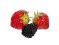 Blackberry and two strawberries