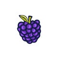 Blackberry Vector icon. Hand drawn print. Sticker design.