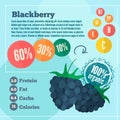 Blackberry and vitamins infographics in a flat style