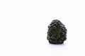 Blackberry on white background. black fruit