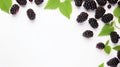 Blackberry On White Chalkboard: Minimalistic High-key View Of Striped Arrangements