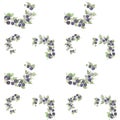 BlackBerry wreath watercolor pattern Royalty Free Stock Photo