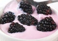Blackberry yogurt pot