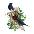 Blackbird couple on a birdhouse with spring flower decor. Watercolor painted illustration. Hand drawn springtime