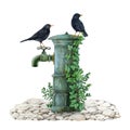 Blackbird couple on a garden water tap. Watercolor painted illustration. Hand drawn garden image with birds. Blackbirds