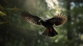 Blackbird Flying Through Forest: Daz3d Macro Photography In Stunning 8k