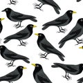 Blackbird seamless pattern