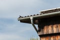 Blackbird sitting on the roof of a wooden barn