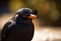 A blackbird wearing sunglasses created with generative AI technology