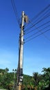 A blackbird, a wild animal, builds nests on the wires, of high voltage poles in rural roads in Thailand Royalty Free Stock Photo