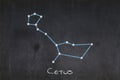 Cetus constellation drawn on a blackboard Royalty Free Stock Photo