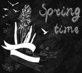 Blackboard chalk Spring Background