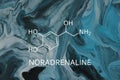 Blackboard with the chemical formula of Norepinephrine