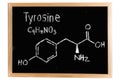 Blackboard with the chemical formula of Thyrosine Royalty Free Stock Photo